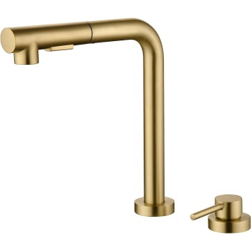 Kitchen Sink Faucet with Pull Out Sprayer and Side Handle, 2 Hole Sink Faucet Brushed Gold