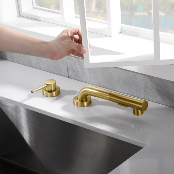 Kitchen Sink Faucet with Pull Out Sprayer and Side Handle, 2 Hole Sink Faucet Brushed Gold