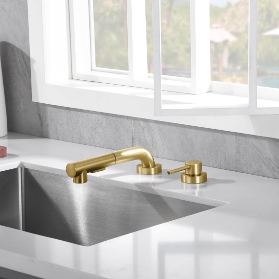 Kitchen Sink Faucet with Pull Out Sprayer and Side Handle, 2 Hole Sink Faucet Brushed Gold