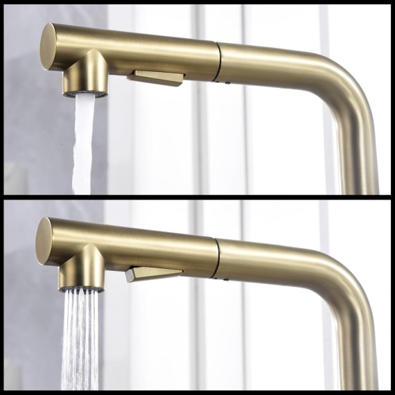 Kitchen Sink Faucet with Pull Out Sprayer and Side Handle, 2 Hole Sink Faucet Brushed Gold